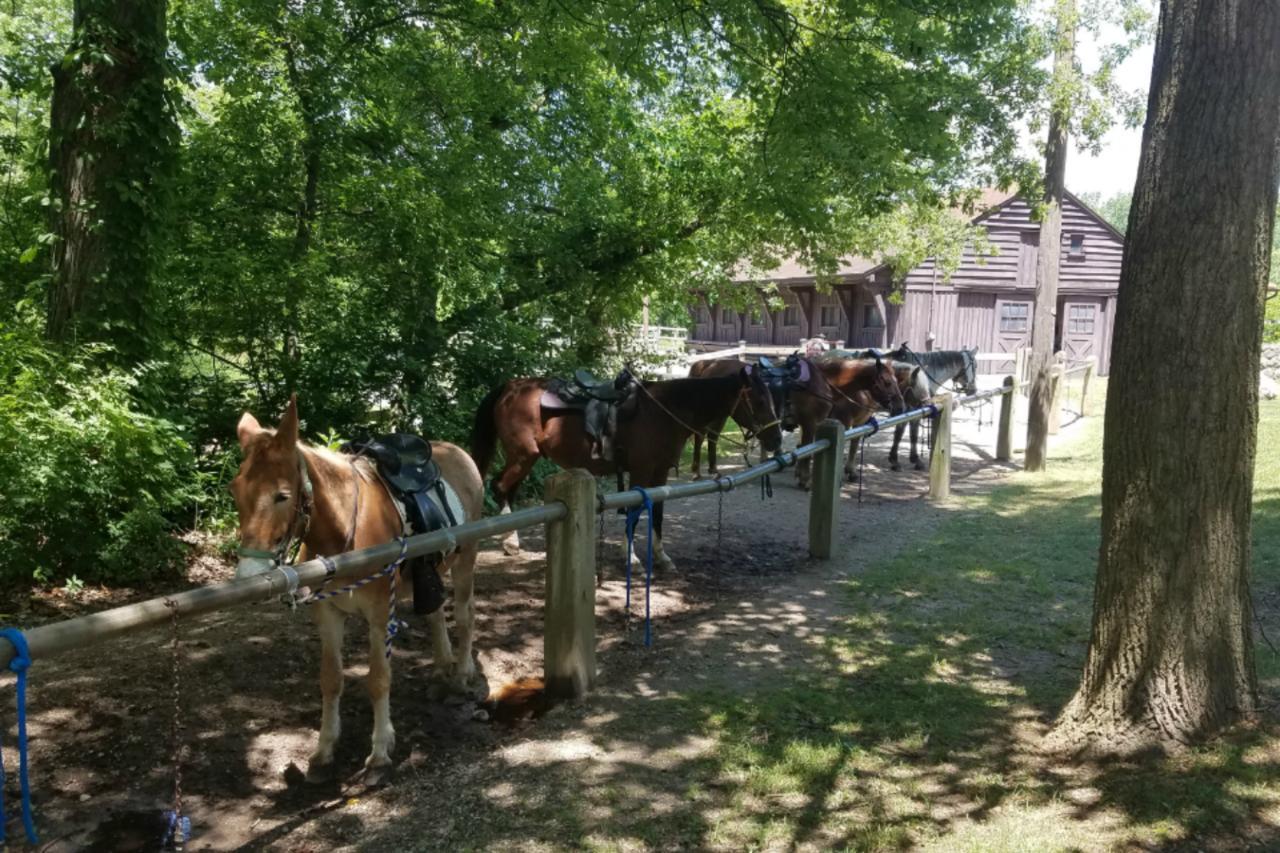 Potawatomi Inn & Cabins 安哥拉 外观 照片